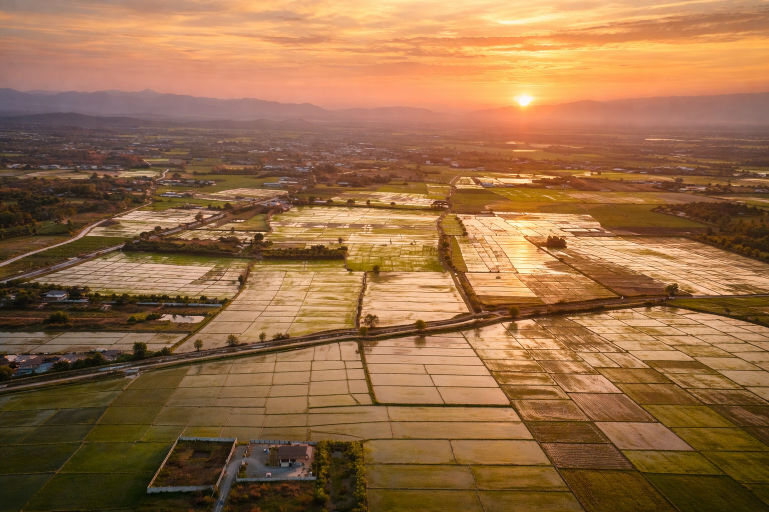 Rice fields from the air at sunset